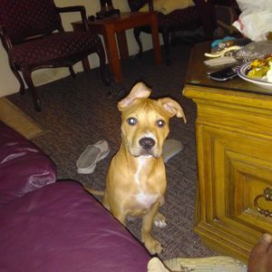 Meet your Posher, Deegarrett